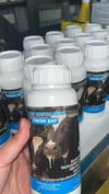 Fınısh Şap (Şapa SON) 600 Ml