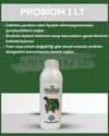 İdeal Probiom 1 Lt