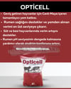 OPTİCELL
