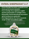 Ovisol Sheep