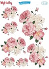 My Hobby My Hobby St 128 Sulu Transfer 25X35