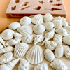 DENİZ KABUKLARI - Seashells