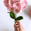 ORTANCA / Hydrangea Leaves Cutter