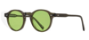 GOLDBERRY 4559 C29 47 Unisex Güneş Gözlüğü