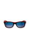RAYBAN ERKEK GÜNEŞ GÖZLÜĞÜ