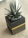 10X9,5 Beton Saksılık