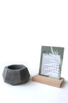 Bitkili beton saksılık çap 13 cm