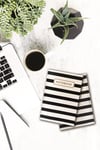 Lina Ciltli Defter