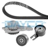 Peugeot 206 307 Citroen C1 C2 C3 Bipper Nemo Xsara 1.4 HDi Ford Fiesta... DAYCO
