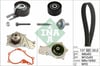 Peugeot 206 207 307 308 407 3008 Expert Partner Citroen Berlingo Jumpy C2 C3... INA