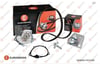 Devirdaimli Eksantrik Gergi Kiti 141 Diş 1.6 HDI DV6C DV6DTED EUROREPAR