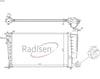 Peugeot 306 Radyatör 1.8D-1.9D Tırnaklı RADISEN