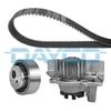 Peugeot 306 406 806 Berlingo Expert Partner BX ZX Xantia Xsara 1.6-1.8-1.9... DAYCO