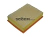 Peugeot 307 308 Citroen C4 Hava Filtresi PURFLUX