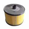 Peugeot P307 P308 P407 Expert Citroen C4 C5 Jumpy Scudo Ford Focus C-Max... SARDES