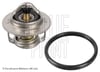 Peugeot 4008 Termostat BLUEPRINT