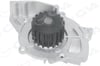 Peugeot 407 Citroen C5 Ford Mondeo Jumper 2.0 HDI 2.2 HDI Devirdaim GVA