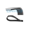 Audi A4 Logan H1 Solenza Starex Colt IV Clio II Kangoo Megane I Avensis... DAYCO
