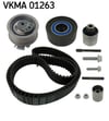 Audi A4 A5 A6 Volkswagen Passat Tiguan Skoda Superb Triger Seti 2.0 TDI SKF
