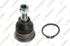 Hyundai Accent Elantra Getz i20 i30 Matrix Sonata Kia Cerato Rio Picanto... TEKNOROT