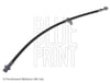 Honda Accord Fren Hortumu BLUEPRINT