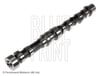 Fiat Albea Doblo Palio Opel Astra Corsa Eksantrik Mili Emme BLUEPRINT
