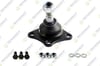 Alfa Romeo 164 Fiat Croma Lancia Thema Rotil Ön Alt Sol Sağ TEKNOROT