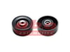 Alternatör Gergi Rulmanı C5-C8-406-407-605 3.0 V6 97
