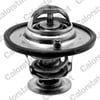 Opel Antara Chevrolet Captiva Cruze Fiat Tipo Tempra Termostat VERNET