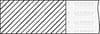 Opel Astra Vectra Zafira Motor Segmanı 1.00 YENMAK