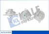 Opel Astra G Frontera B Omega B Sintra Vectra B Chevrolet Astra EGR Valf KALE-RADYATOR
