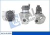 Citroen Berlingo EGR Valfi 1.6 HDI KALE-RADYATOR