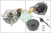 BMW B57 Devirdaim Pompası Set INA