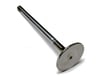 Fiat Brava 1.8 16V Alfa Romeo 156 1.6 1.8 2.0 147 145 146 GT GTV Bravo Stilo... GUNES