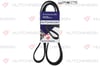 Fiat Bravo Brava Ford Fiesta Transit Mercedes Laguna II Toyota Corolla... HUTCHINSON