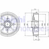 Citroen C2 C3 C3 II C3 Pluriel Peugeot 206 1007 301 208 C3 III DS3 C4 Cactus... DELPHI