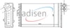 Citroen C5 Kalorifer Radyatörü RADISEN