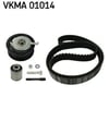 Volkswagen Caddy Golf3 T4 Passat Audi A4 Seat Toledo Triger Seti 1.9 1.9TDI SKF