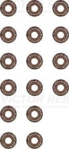 Renault Captur Clio Megane Duster Dokker Nissan Qashqai Juke Pulsar Subap... V.REINZ