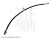 Honda Civic Fren Hortumu BLUEPRINT