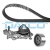 Renault Clio II Kangoo Megane Dacia Logan Sandero Solenza 1.4-1.6... DAYCO