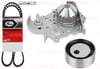 Renault Clio 2 Kangoo Megane Dacia Logan Sandero Solenza Devirdaimli... THERMAX