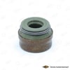Renault Clio 3 Subap Lastiği SKT