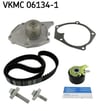 Renault Clio Kangoo Symbol Megane Nissan Almera Devirdaimli Eksantrik Gergi Kiti SKF
