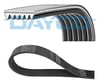 Opel Combo E Alternatör Kayışı DV6 1.6 BlueHDI DAYCO