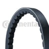 Opel Corsa Kia Ford Honda Volvo Mercedes V Kayışı Tırtıllı 13x900 CONTITECH