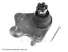 Honda CR-V Rotil BLUEPRINT