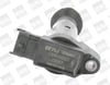 Citroen DS3 1.2 VTİ Ateşleme Bobini BERU