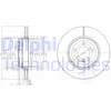 BMW E65 Arka Fren Diski DELPHI