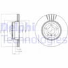 BMW E70 Arka Fren Diski DELPHI